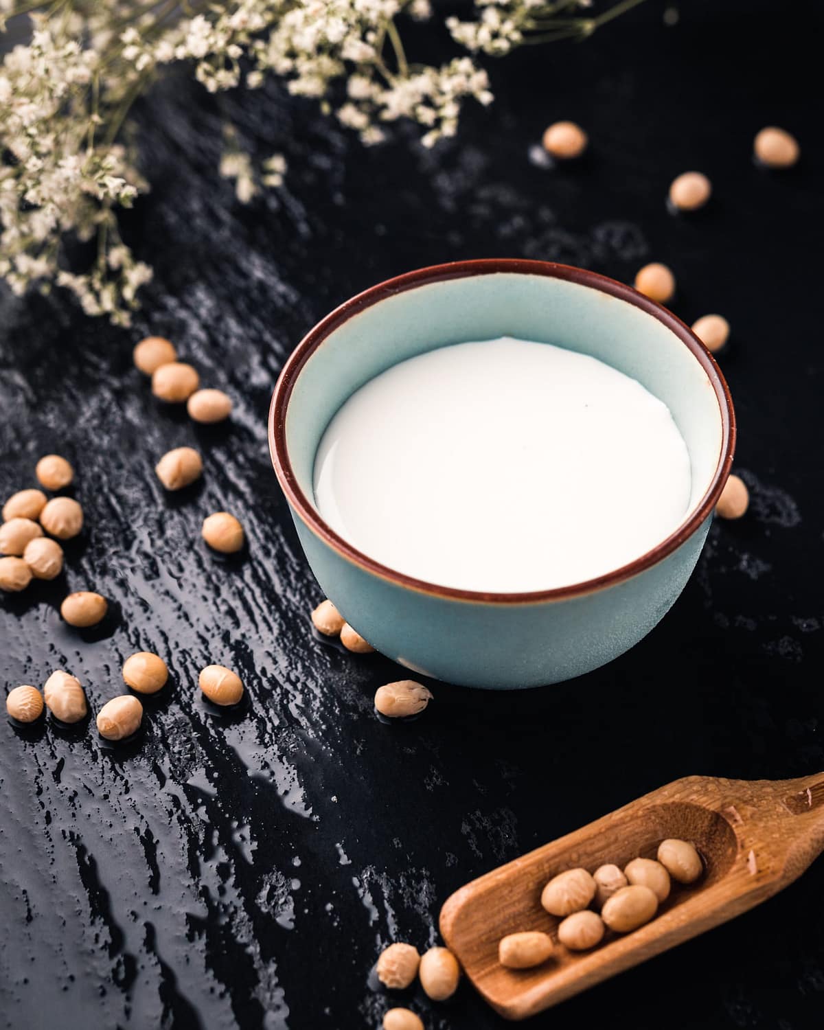 Trajaan / plant based milk market trends